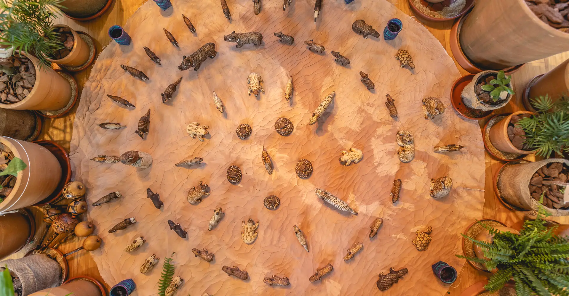 MEGADIVERSO INSTITUTO CULTURAL – Onde ciência, cultura e inovação se encontram para transformar MEGADIVERSO INSTITUTO CULTURAL - Onde ciência, cultura e inovação se encontram para transformar