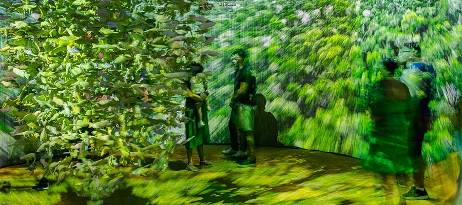 Exposição Ajuri | Museu das Amazônias
