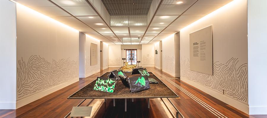 Exposição Permanente | Museu do Jardim Botânico