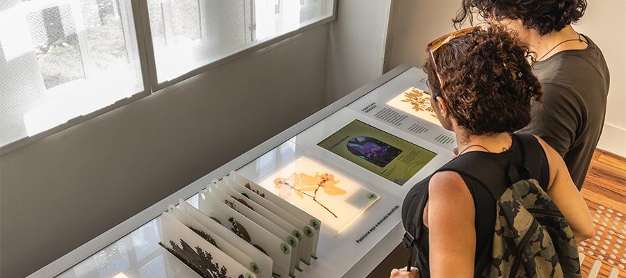 Exposição Permanente | Museu do Jardim Botânico
