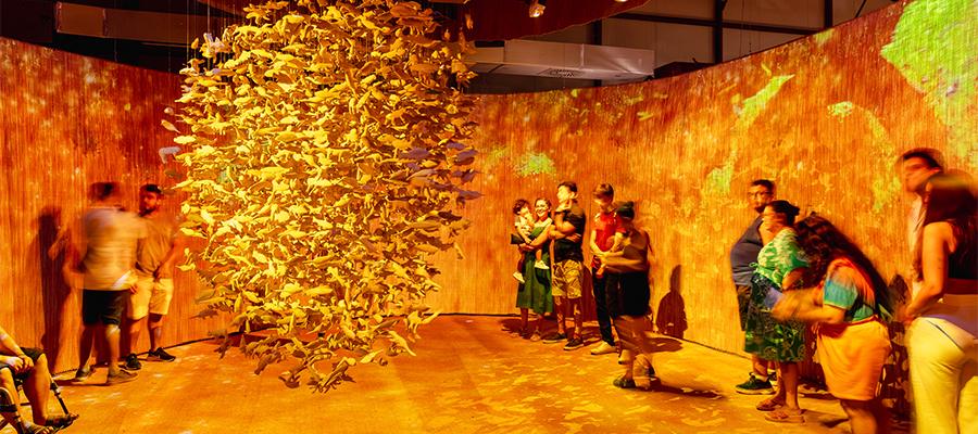 Exposição Ajuri | Museu das Amazônias