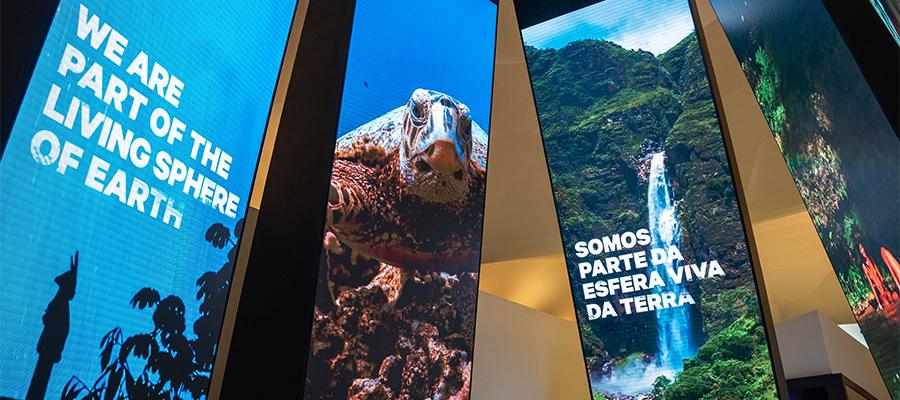 Espaço "Onde Estamos?" | Museu do Amanhã